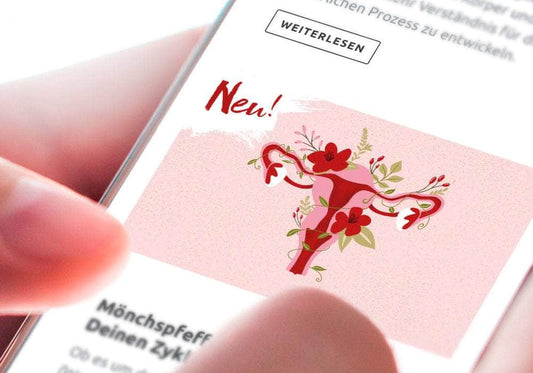 Neueste Artikel