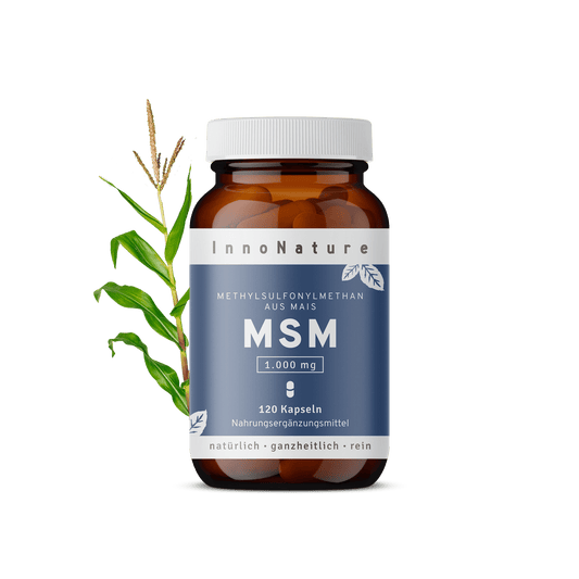  MSM: Pflanzliches Methylsulfonylmethan