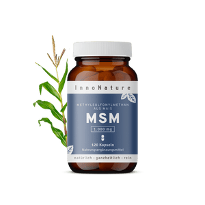 MSM Kapseln