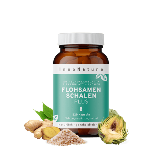  Flohsamenschalen Plus Kapseln: Ballaststoffe + Extrakte