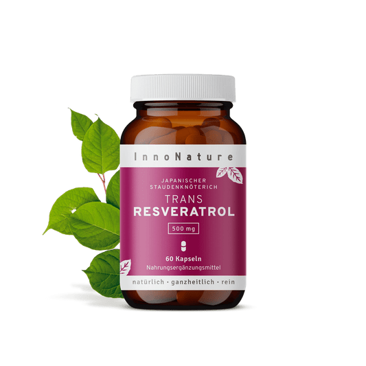 Trans-Resveratrol: Japanischer Staudenknöterich