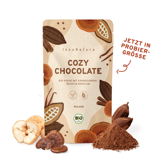 Mini Cozy Chocolate mit Vitalpilzen