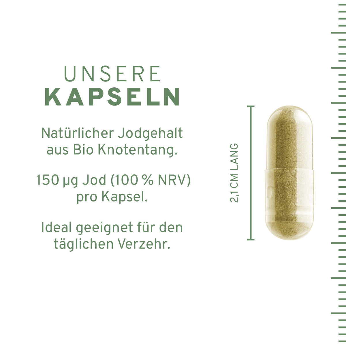 Bio Jod Kapseln: Knotentang