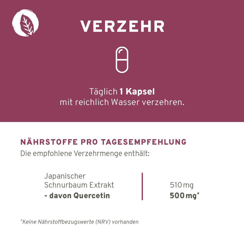 Quercetin 90 Kapseln