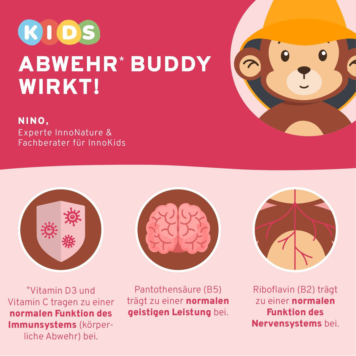 Abwehr Buddy Pulver Erdbeere + Rote Bete