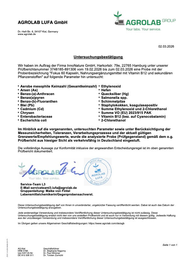 Fokus Kapseln