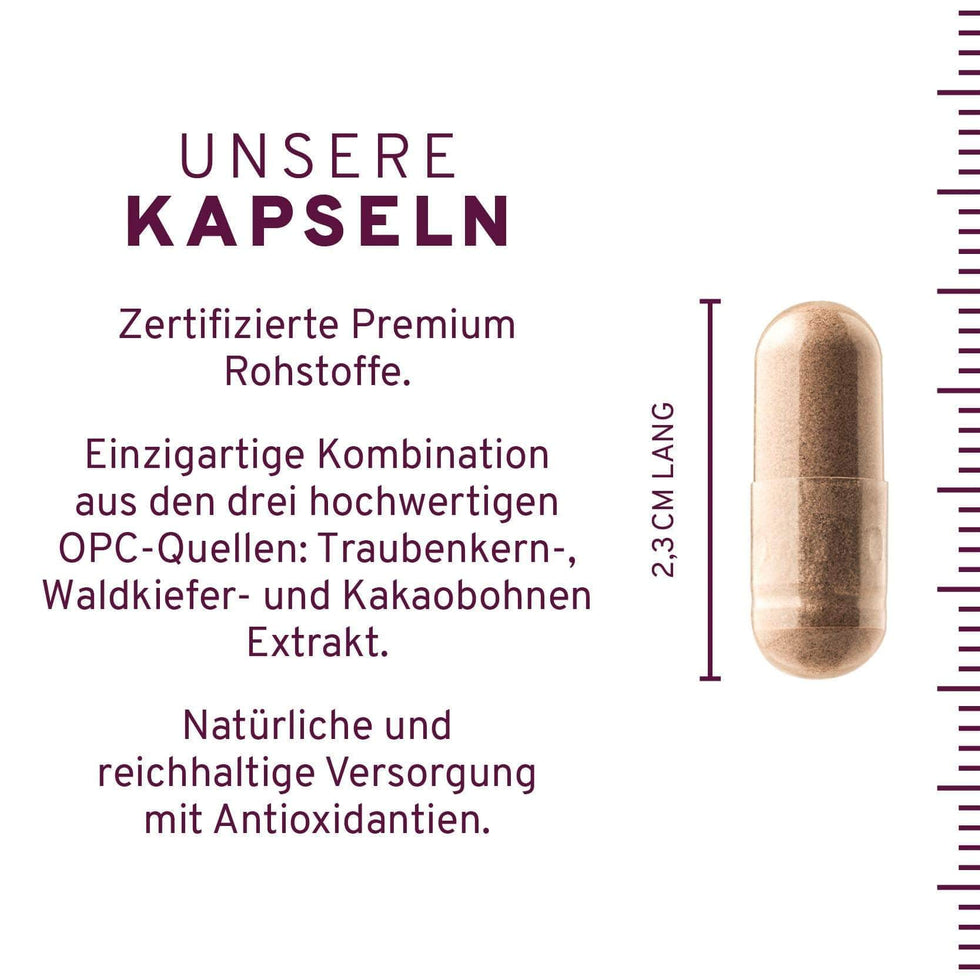 InnoNature Kapseln 1x Monatsvorrat (60 Kapseln) OPC KOMPLEX Kapseln