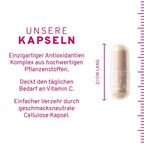 InnoNature Kapseln Zellschutz Kapseln:  Trans-Resveratrol + OPC + L-Glutathion + Hagebutte + Citrus-Bioflavonoide