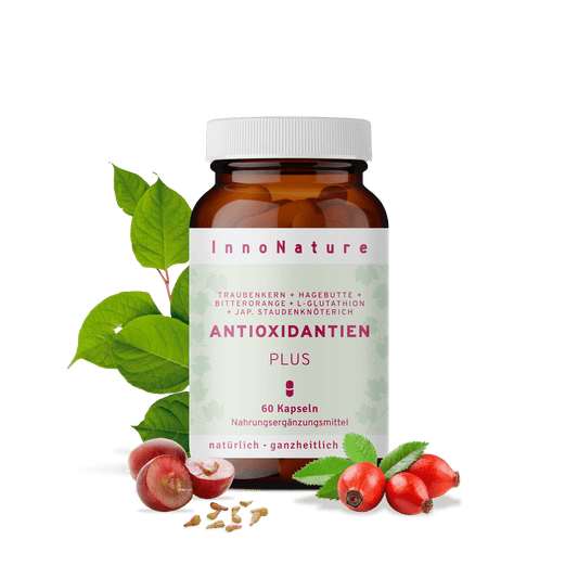  Antioxidantien Plus Kapseln 