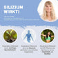InnoNature Pakete 1x Vorrat (1x Silizium, 1x Zink, 1x Sango Koralle, 1x Basenbad) Basen-Paket