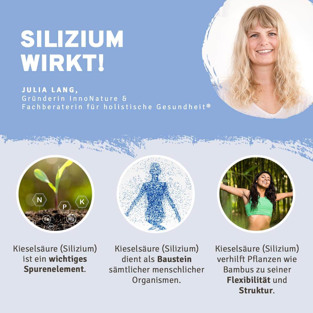 InnoNature Pakete 1x Vorrat (1x Weihrauch 1x Vitamin C 1x Silizium 1x Bromelain 1x Vegan Kollagen Support) Gelenke und Regenerations-Paket