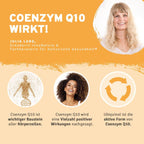 InnoNature Pakete 1x Vorrat (1x Haut Haare Nägel, 1x Vitamin C, 1x Kurkuma Gerstengras, 1X Face Oil, 1x Deocreme, 1x Lip Balm) Slow Aging Inside Out Paket